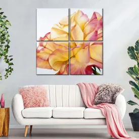 A Beautiful Rose Wall Art