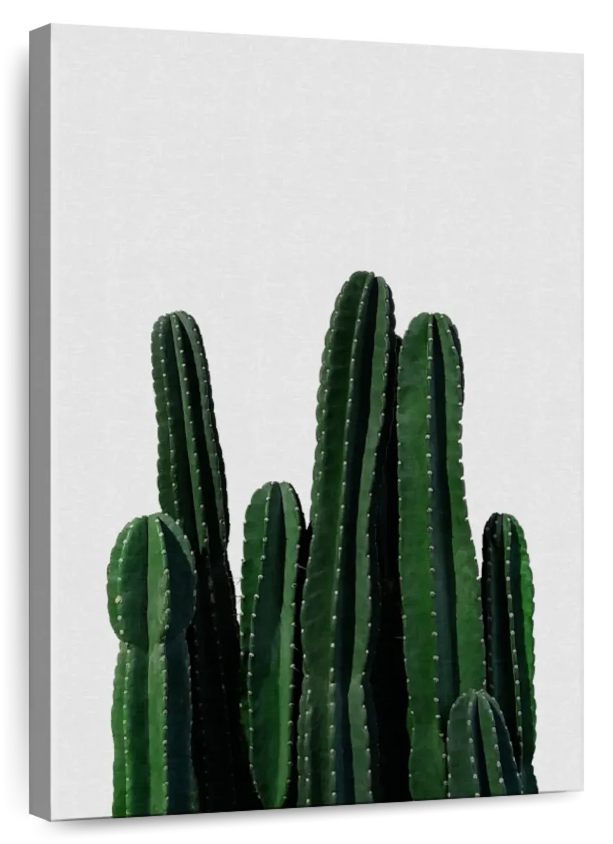 A Cactus I Wall Art