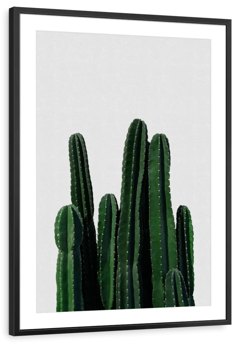 A Cactus I Wall Art